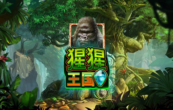 大发凤凰vip彩票
